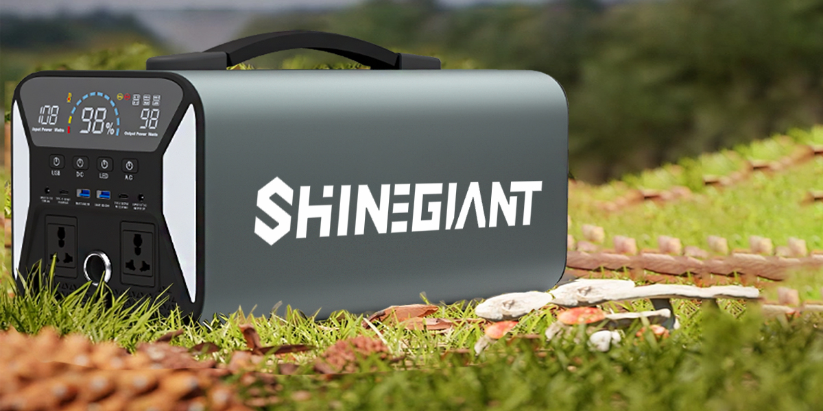 Centrale elettrica portatile