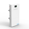  Shinegiant BAT-S48100&SSA-5K |Invertitore da 5KW |Batteria di accumulo di energia LEP da 5KW